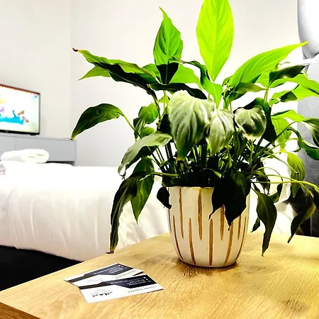 Square Hotel Tirana